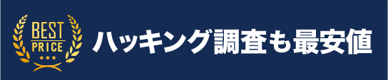 ハッキング調査も最安値